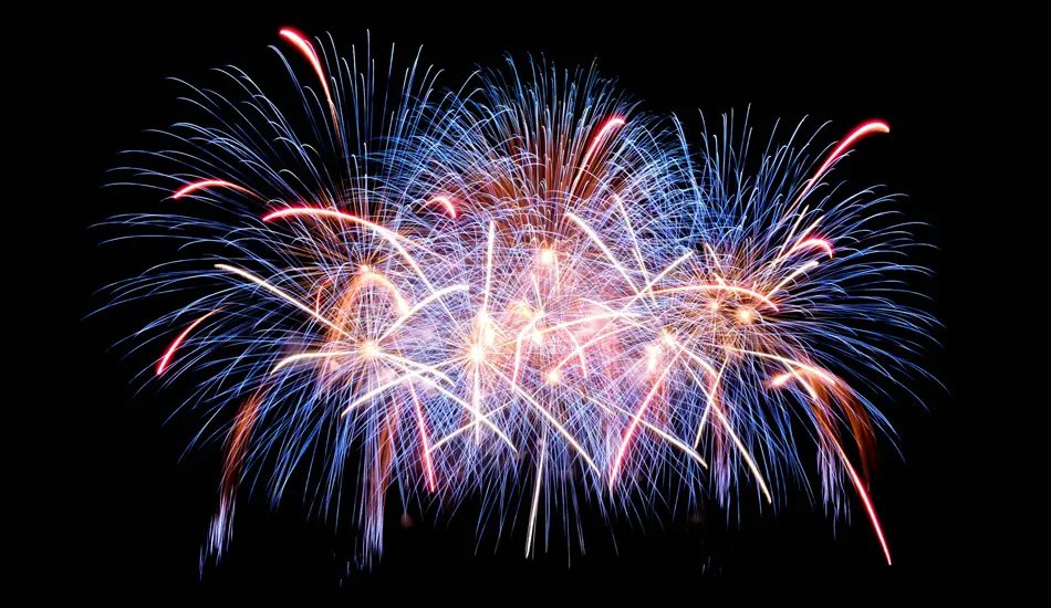 Bonfire Event Security Copeland