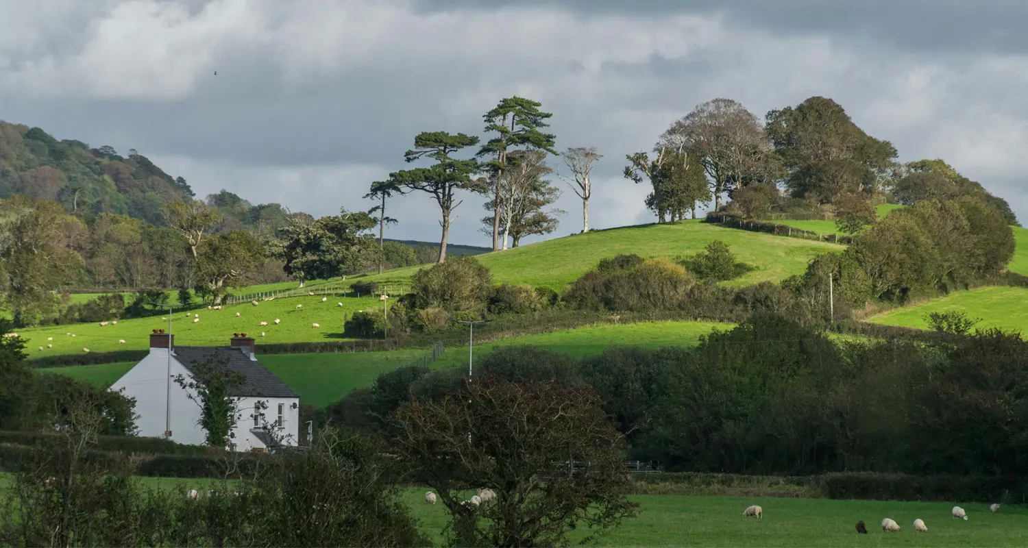 EcoWatch Site Security in Cheshire for Rural and Development Projects
